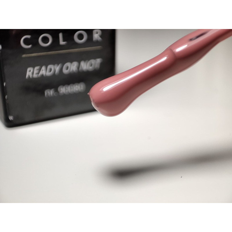 Pinceau remplit de My Color Ready Or Not