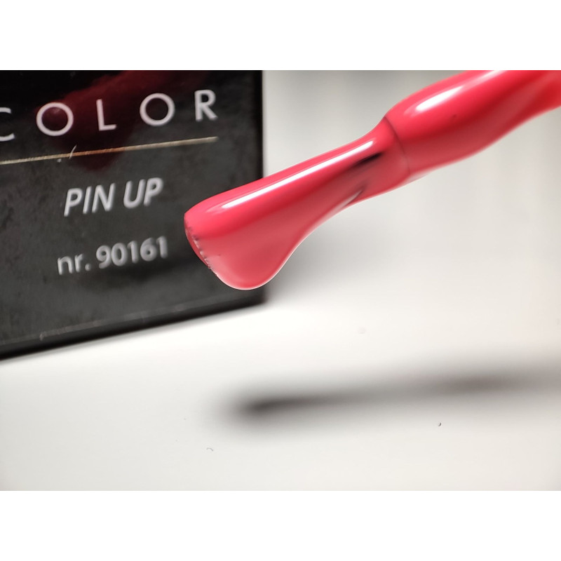 Pinceau remplit de My Color Pin Up