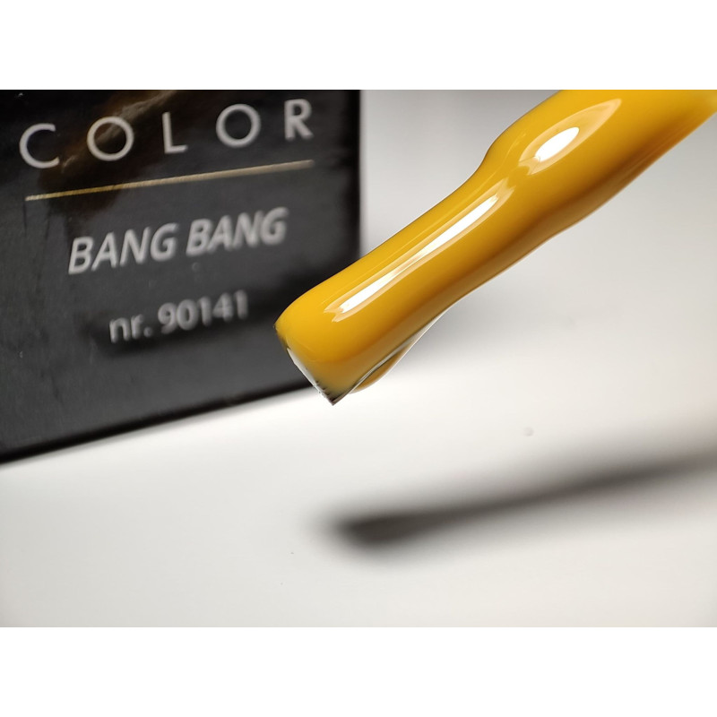 Pinceau remplit de My Color Bang Bang