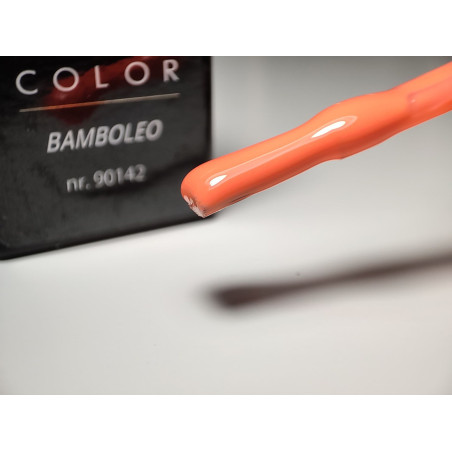 Pinceau replit de My Color Bamboleo