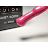 Pinceau remplit de My Color Sweet Flower
