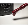 Pinceau remplit de My Color Perfect