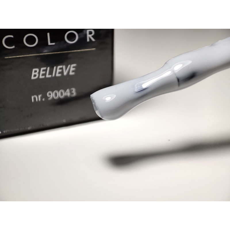 Pinceau remplit de My Color Believe 