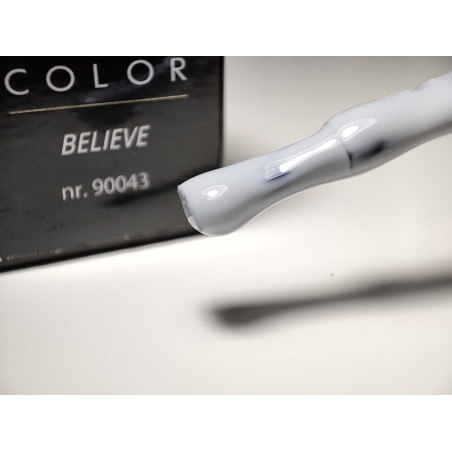 Pinceau remplit de My Color Believe Pinceau remplit de My Color Believe