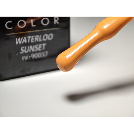 Pinceau remplit de My Color Waterloo Sunset Pinceau remplit de My Color Waterloo Sunset