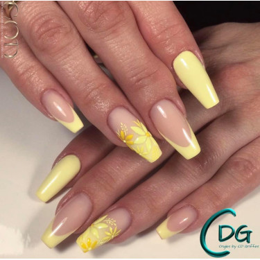 Banana Palm Color Gel