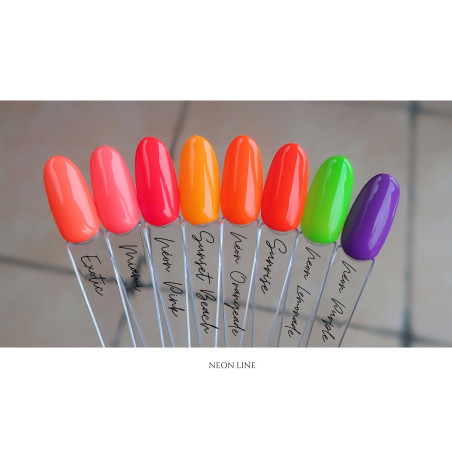 Tips fait avec le Gel couleur Miami