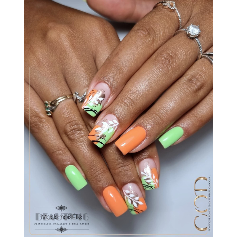 Nail art fait avec le My Color Brasilia