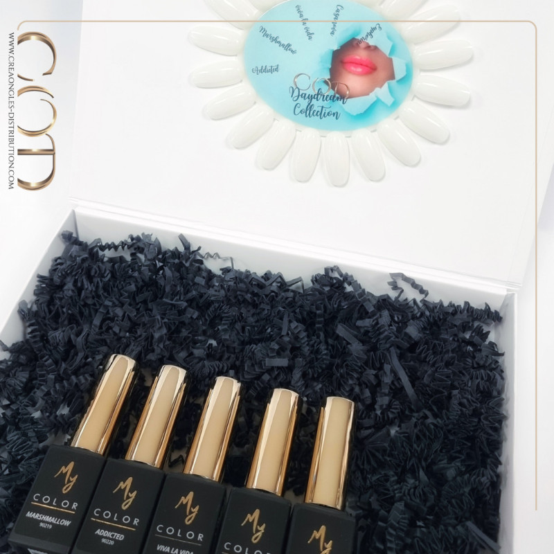 Box Daydream Collection & Nuancier visuel final 