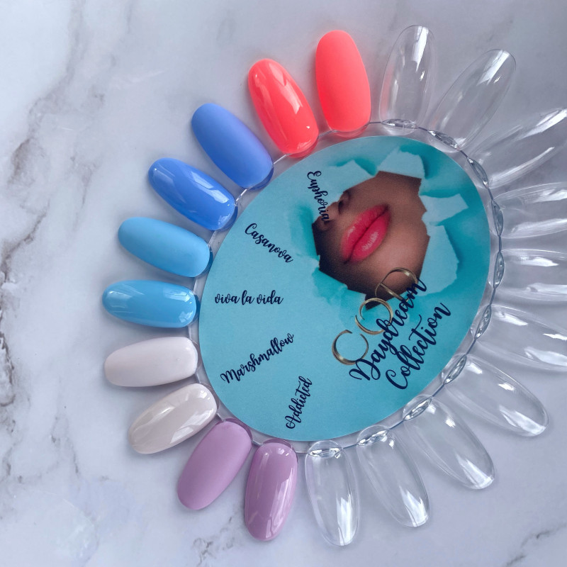 Box Daydream Collection & nuancier fait 