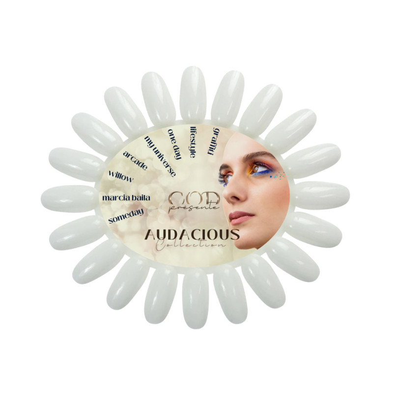 Nuancier de la Box Audacious collection