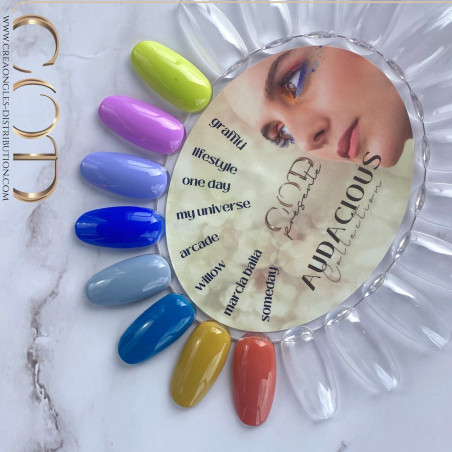 Zoom sur le nuancier de la Box Audacious collection 
