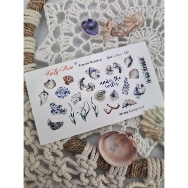 Calcomanía de agua 62