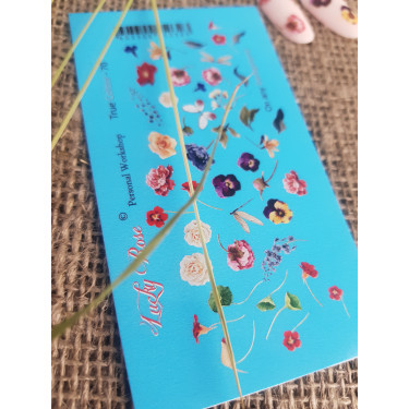 Calcomanía de agua 67