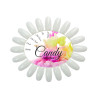 Box Candy Collection & Nuancier vierge