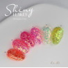 Capsules de Shiny Flakes 9