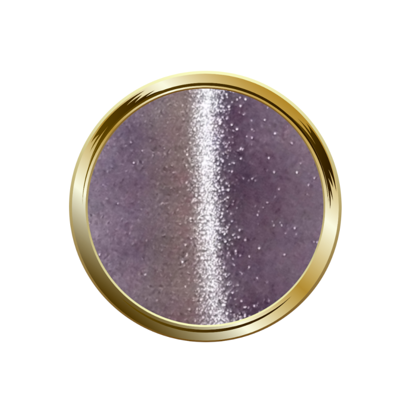 Pastille aimanté de My Color Cat Eye Fever