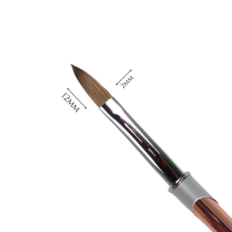 Brush Line Acrylic N°12 zoom pointe