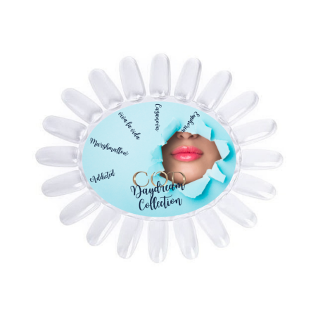 Box Daydream Collection & Nuancier vierge