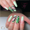 Nail art fait avec le Gel couleur Light Green