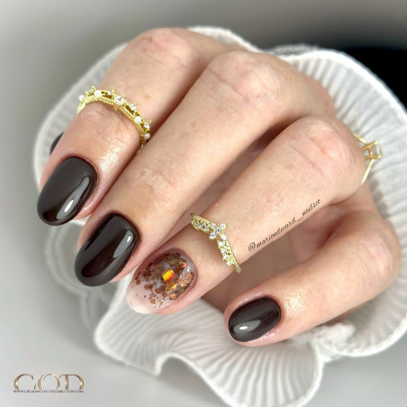 Manucure Oval avec le MIX Holobrown