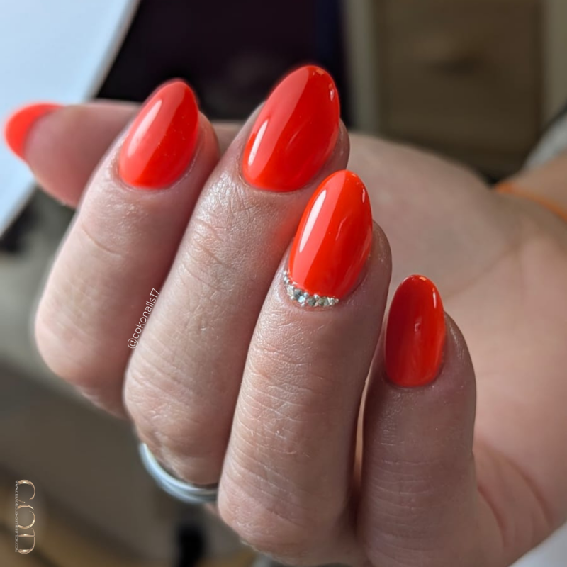 Pose ovale avec le My Color Colifornia