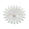 Nuancier blanc PLG Pearl