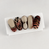 Capsules du kit nail art 1 d'automne
