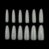 Demi-capsules Almond zoom