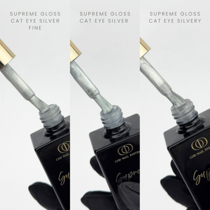 Zoom sur les pinceaux du lot de Supreme Gloss Cat Eye Silver