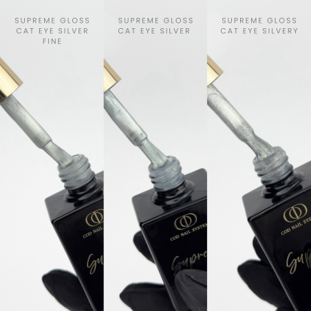 Zoom sur les pinceaux du lot de Supreme Gloss Cat Eye Silver